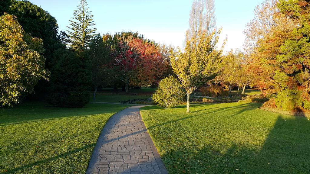 Bella Vista Gisborne Motel Luaran gambar